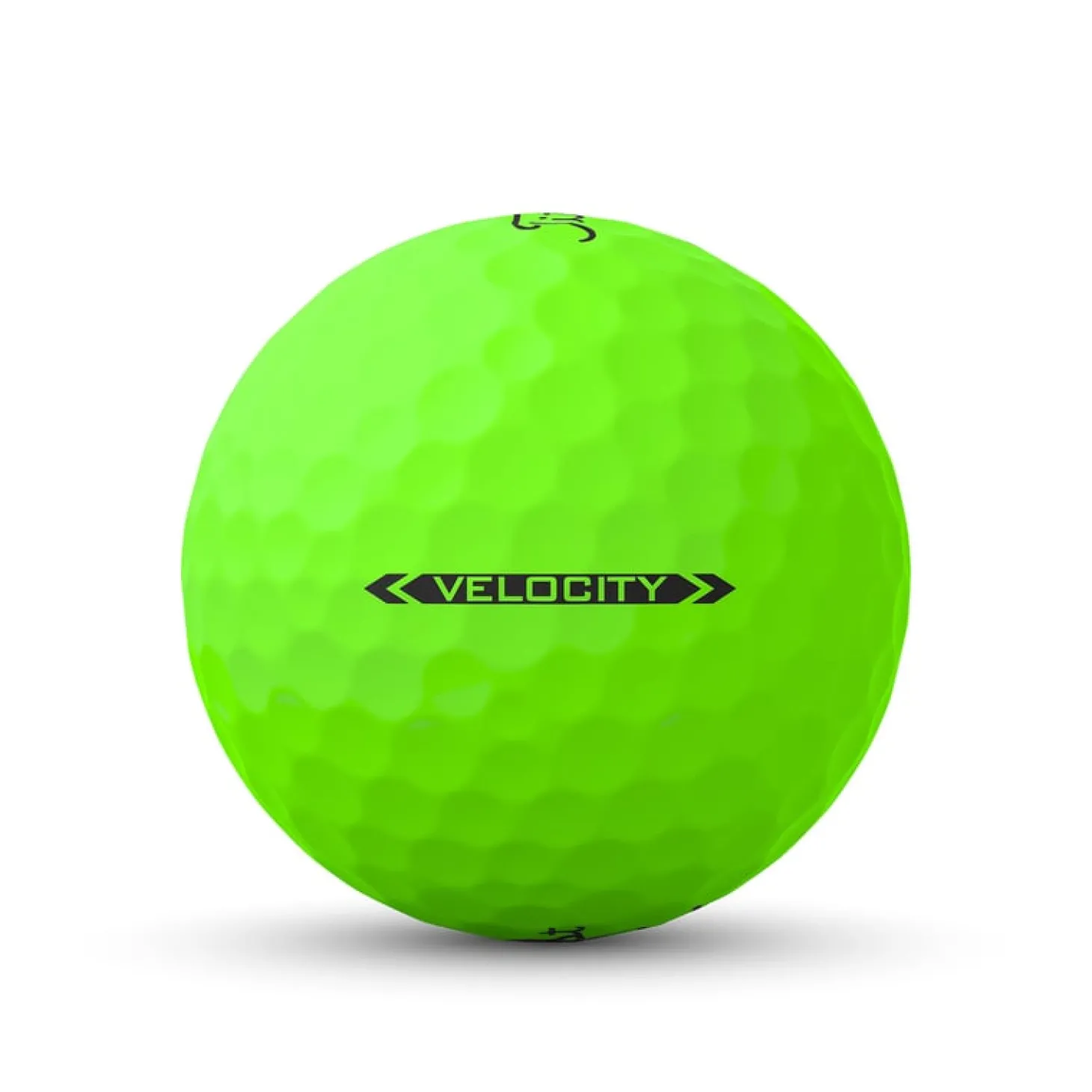 2024 Velocity Wht Grön